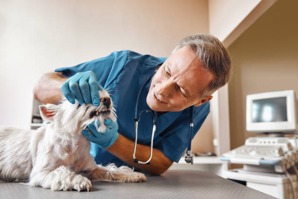 Best Weekend Emergency Dentist in Cisco, TX